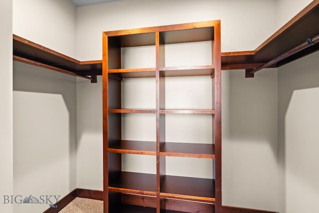 view of spacious closet