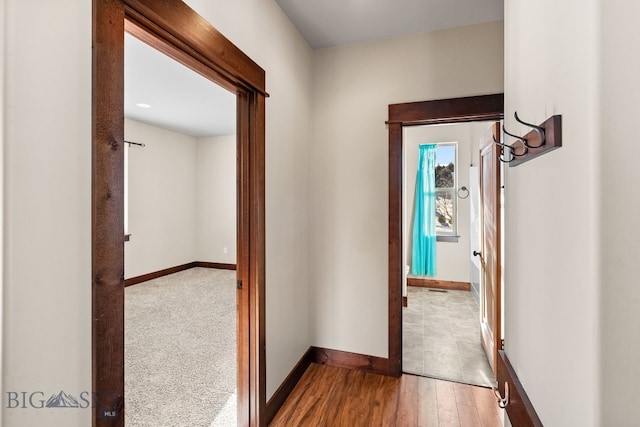 hall with hardwood / wood-style floors