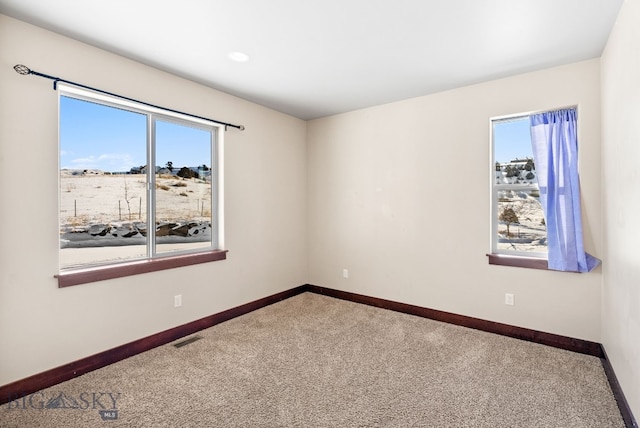 spare room featuring a healthy amount of sunlight and carpet flooring