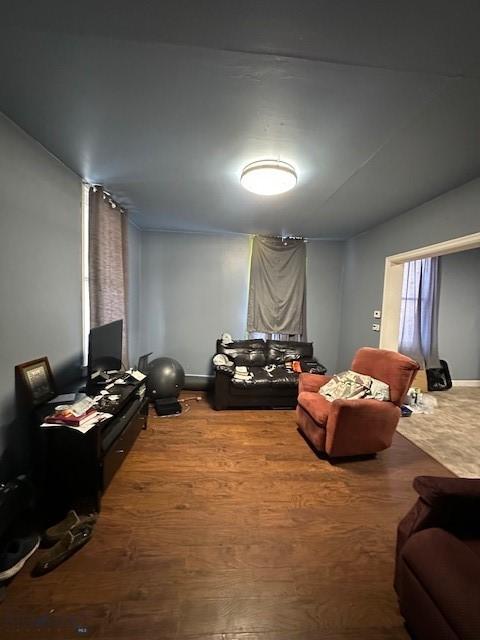 living room featuring wood-type flooring