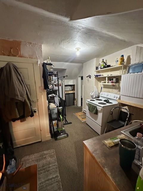 kitchen with sink, electric range, and carpet flooring