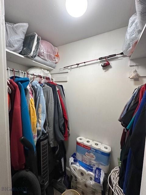 view of spacious closet