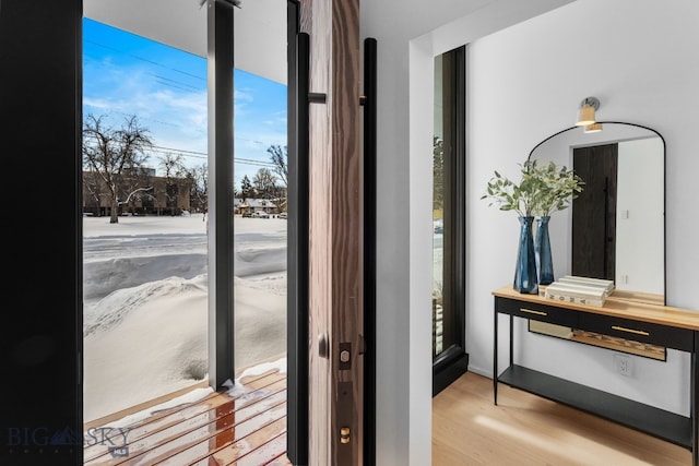 217 W Beall St Unit B, Bozeman, MT 59715 - entryway featuring wood finished floors
