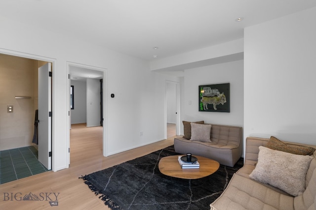 217 W Beall St Unit B, Bozeman, MT 59715 - living area featuring light wood-type flooring and baseboards