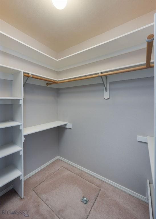 walk in closet with light colored carpet