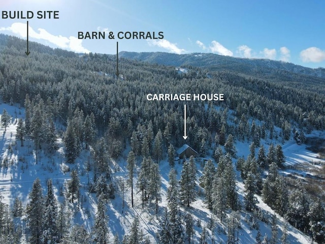 770 Mountain Moose Rd, Bozeman MT, 59715 land for sale