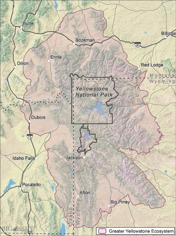 770 Mountain Moose Rd, Bozeman, MT 59715 - map / location