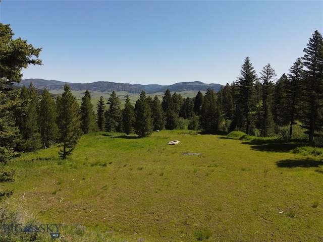 770 Mountain Moose Rd, Bozeman, MT 59715 - view of mountain background featuring a forest