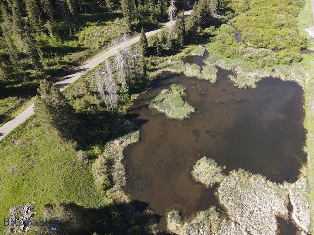 770 Mountain Moose Rd, Bozeman, MT 59715 - aerial view of property's location
