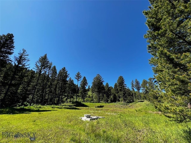 770 Mountain Moose Rd, Bozeman, MT 59715 - view of yard with an outdoor fire pit and a forest view