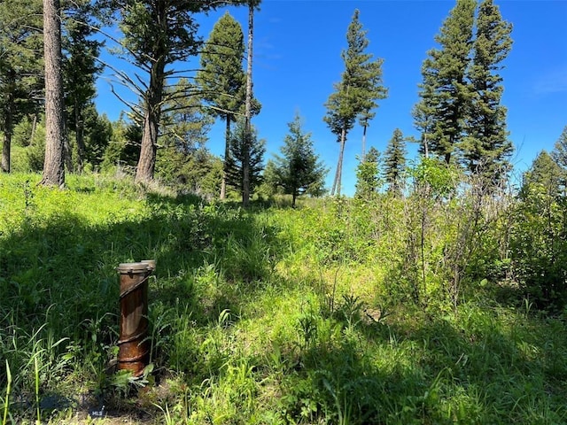 770 Mountain Moose Rd, Bozeman, MT 59715 - view of local wilderness