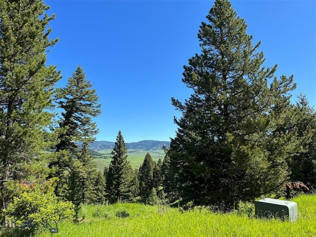 770 Mountain Moose Rd, Bozeman, MT 59715 - mountain view featuring a heavily wooded area