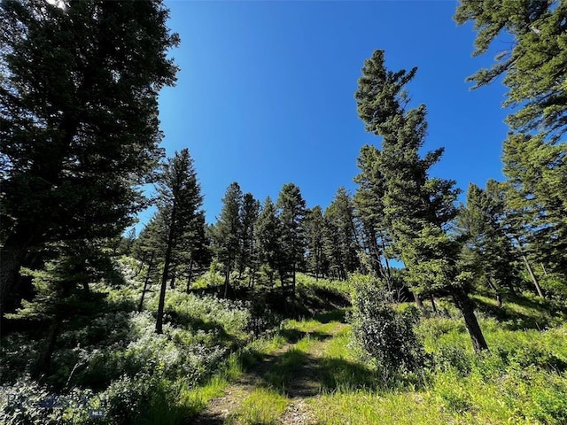 770 Mountain Moose Rd, Bozeman, MT 59715 - view of undeveloped land