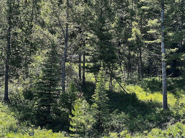 770 Mountain Moose Rd, Bozeman, MT 59715 - view of woods