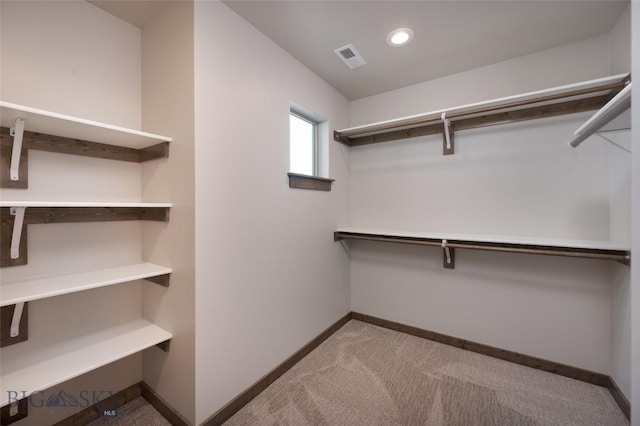 spacious closet featuring light colored carpet