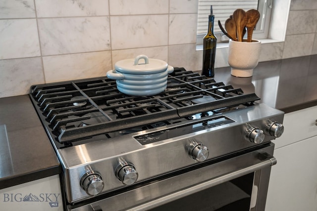 interior details with tasteful backsplash and stainless steel gas stove