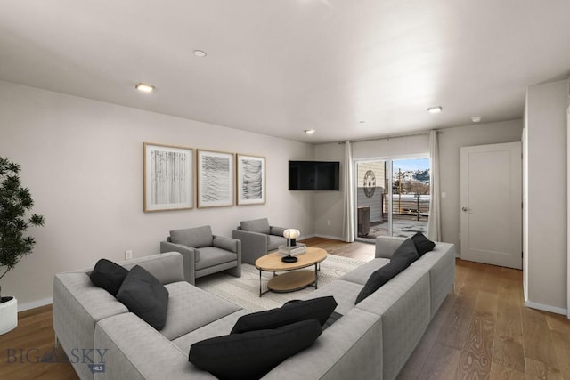 living room with hardwood / wood-style floors