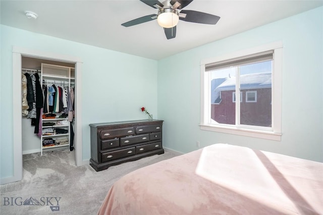 carpeted bedroom featuring ceiling fan, a walk in closet, and a closet