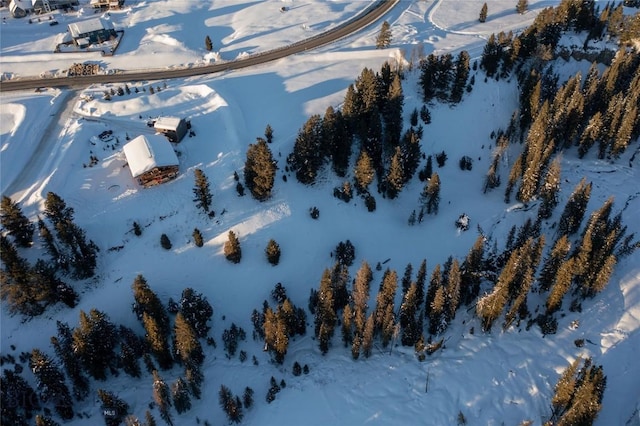 view of snowy aerial view