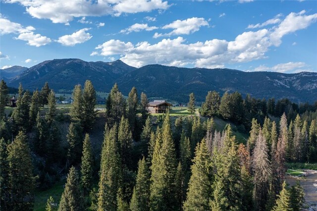 34 Stream Side Way, Big Sky, MT 59716 - photo 5