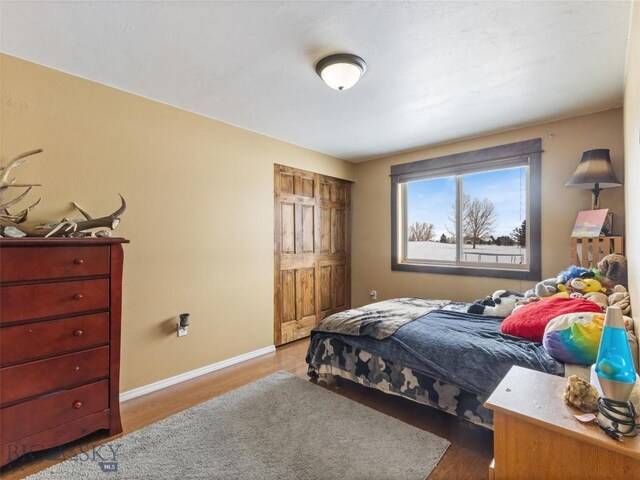 10 Fan Mountain Ct, Ennis, MT 59729 - bedroom featuring baseboards and wood finished floors