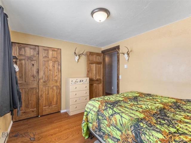 10 Fan Mountain Ct, Ennis, MT 59729 - bedroom with baseboards and wood finished floors