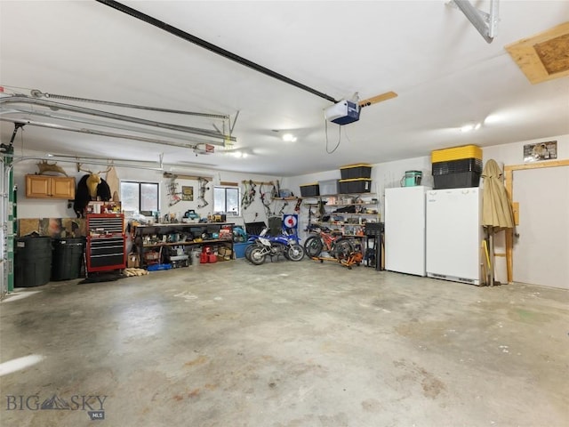 10 Fan Mountain Ct, Ennis, MT 59729 - garage featuring a workshop area, freestanding refrigerator, a garage door opener, and fridge