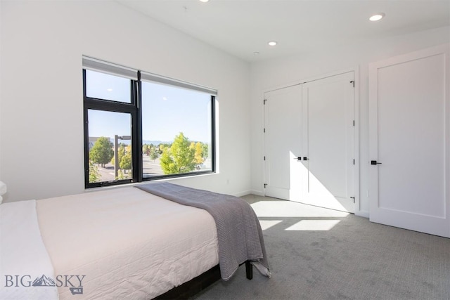 carpeted bedroom with a closet