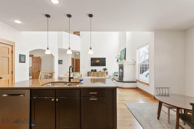 kitchen with light hardwood / wood-style flooring, hanging light fixtures, dark brown cabinets, stainless steel dishwasher, and sink