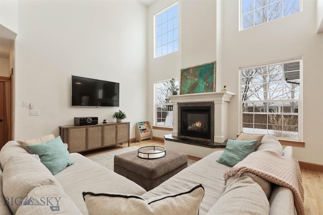 living room with a high ceiling and hardwood / wood-style floors