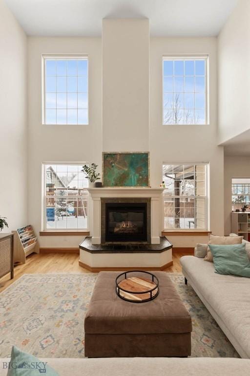 living room featuring a high ceiling and wood-type flooring