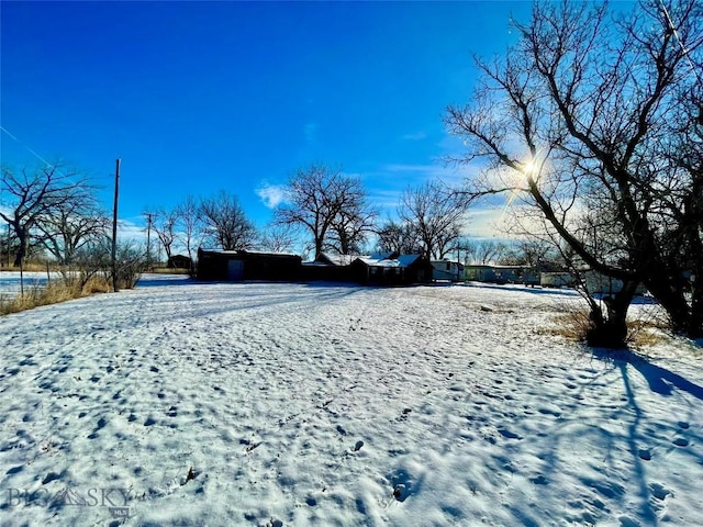 view of yard covered in snow