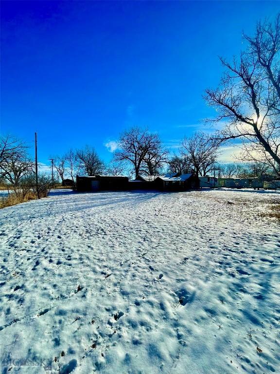 view of yard covered in snow