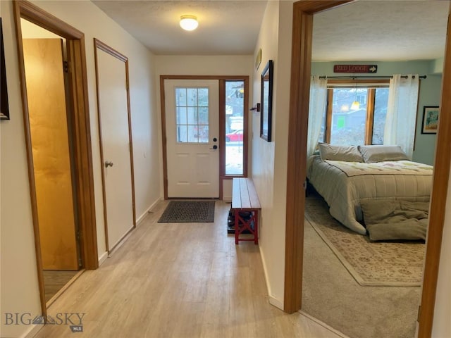 doorway with light hardwood / wood-style flooring