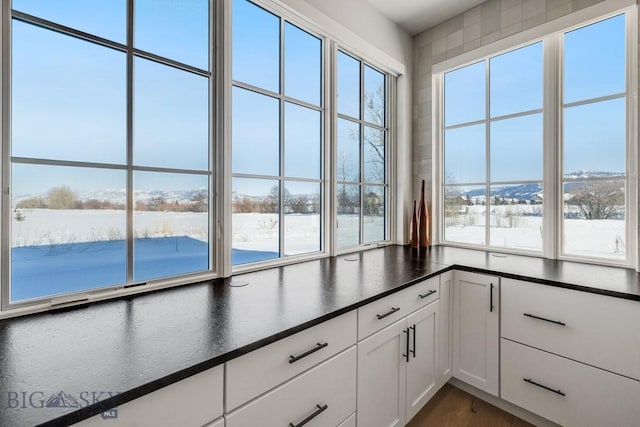 kitchen featuring white cabinets