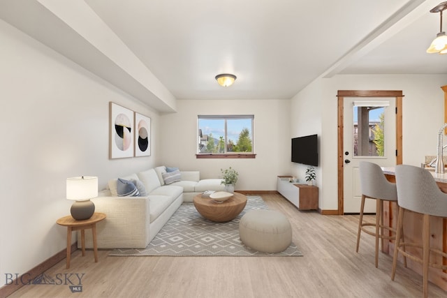 living room featuring a healthy amount of sunlight and light hardwood / wood-style floors