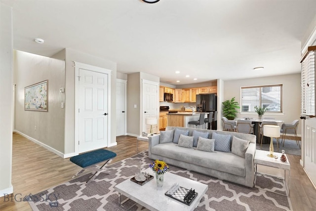 living room with light hardwood / wood-style floors