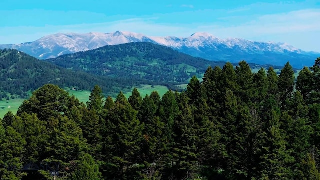 TBD Woodchuck Rd, Bozeman MT, 59715 land for sale