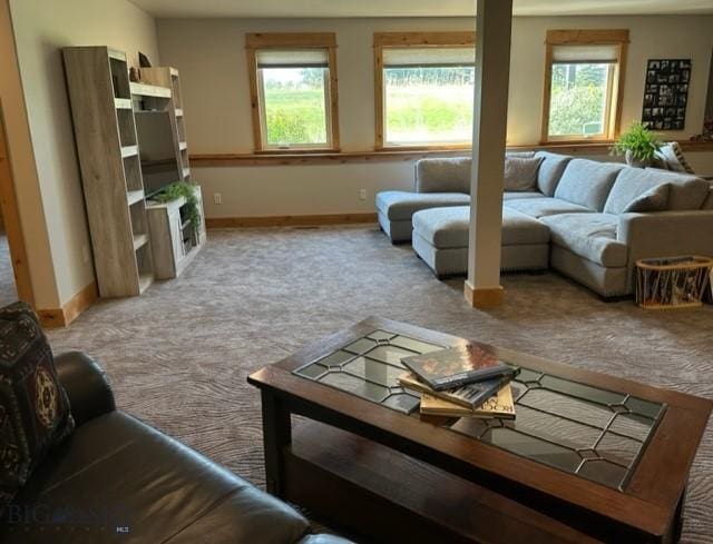 living room with carpet and baseboards