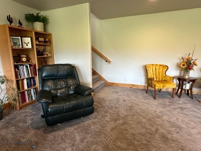 31 Cayuse Trl, Bozeman, MT 59718 - photo 38