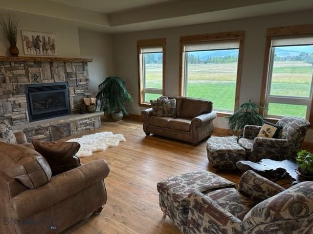 living area featuring a fireplace and light wood-style floors