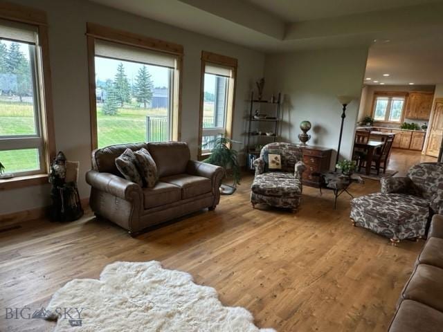 living room featuring light wood finished floors and recessed lighting