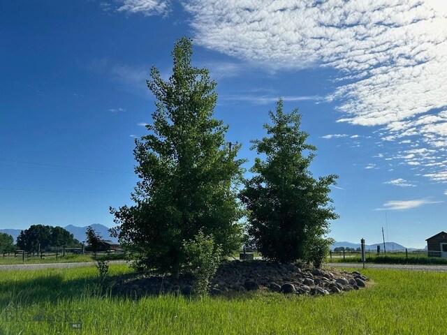 31 Cayuse Trl, Bozeman, MT 59718 - photo 55