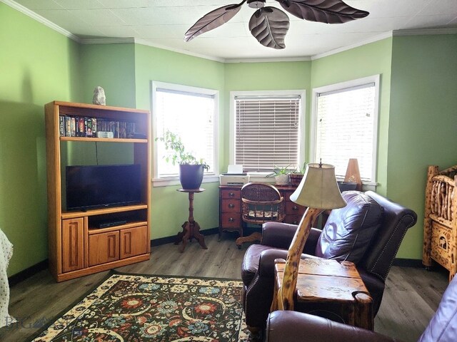 interior space with baseboards, a ceiling fan, wood finished floors, and crown molding