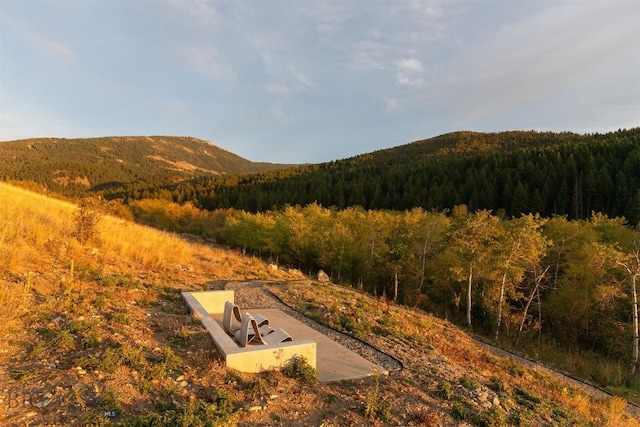 property view of mountains featuring a wooded view