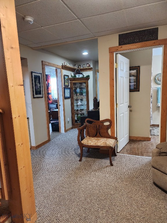 carpeted living room featuring a drop ceiling and baseboards