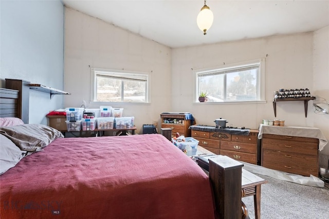 3144 Iris Rdg, Butte, MT 59711 - photo 22