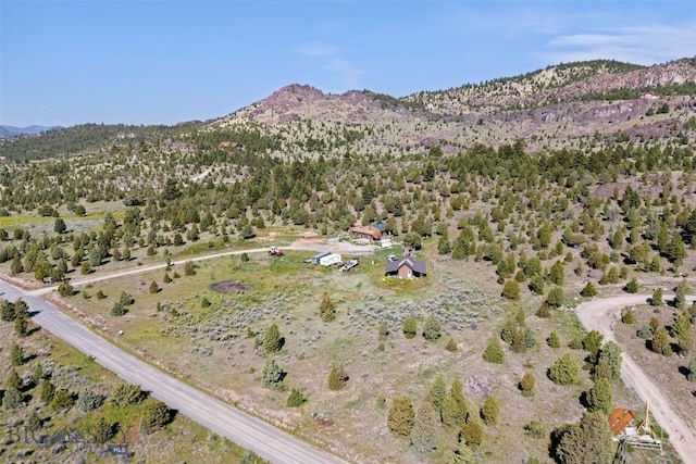 3144 Iris Rdg, Butte, MT 59711 - photo 36