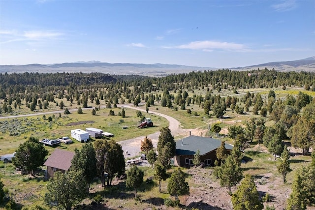 3144 Iris Rdg, Butte, MT 59711 - photo 40