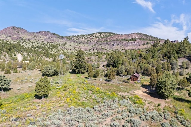 3144 Iris Rdg, Butte, MT 59711 - photo 41